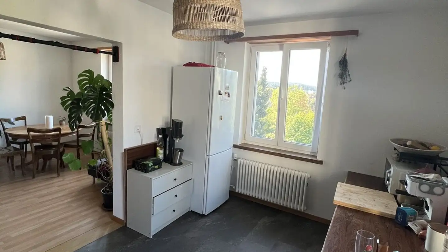 Single room for rent - Schlosshofstrasse, 8400 Winterthur - Photo 3