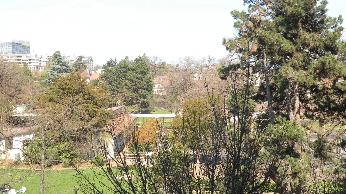 Furnished apartment for rent - Rue Pestalozzi 7, 1202 Genève