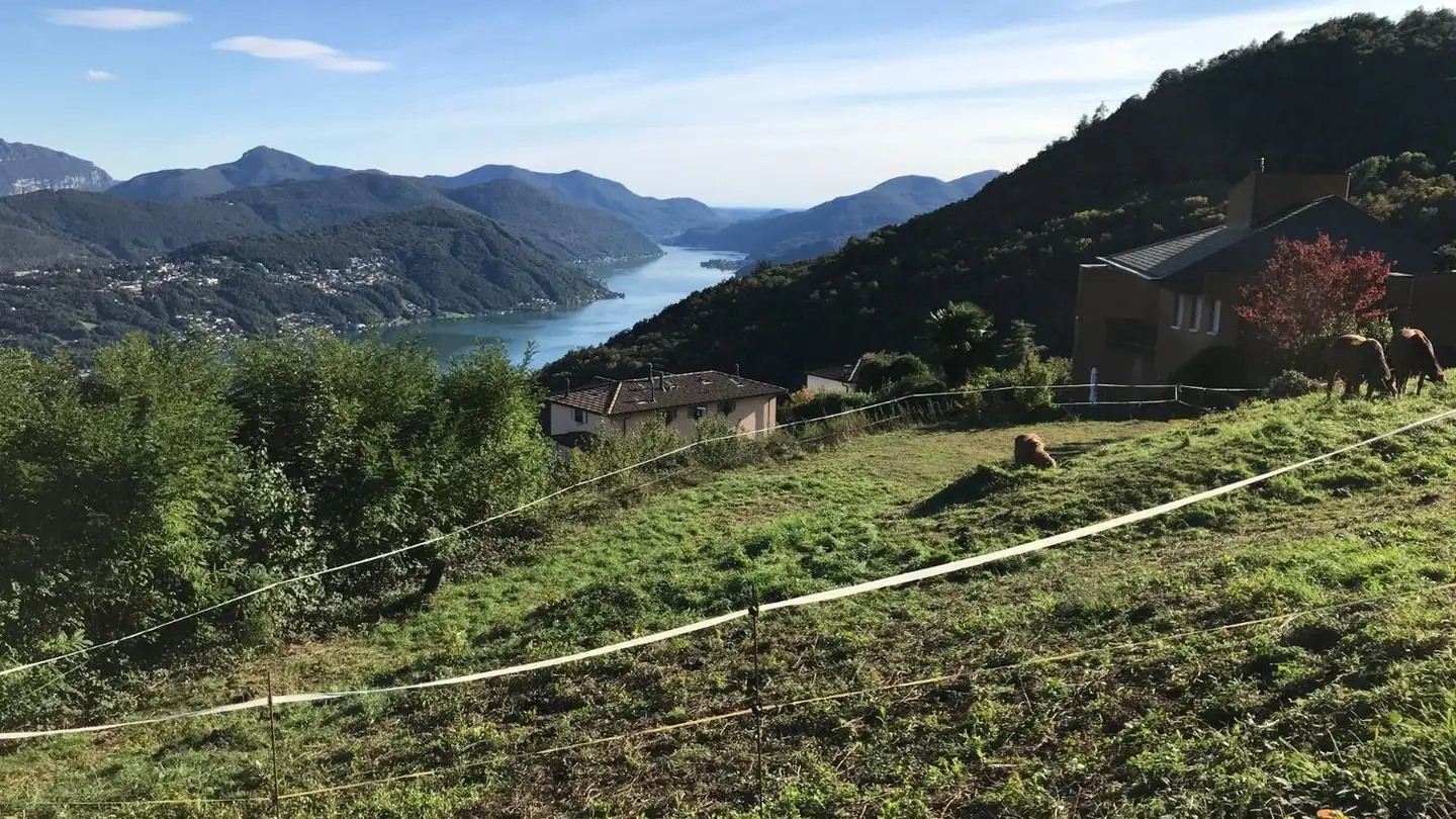 Terrain constructible à vendre - Via Quadrella, 6936 Cademario - Photo 2