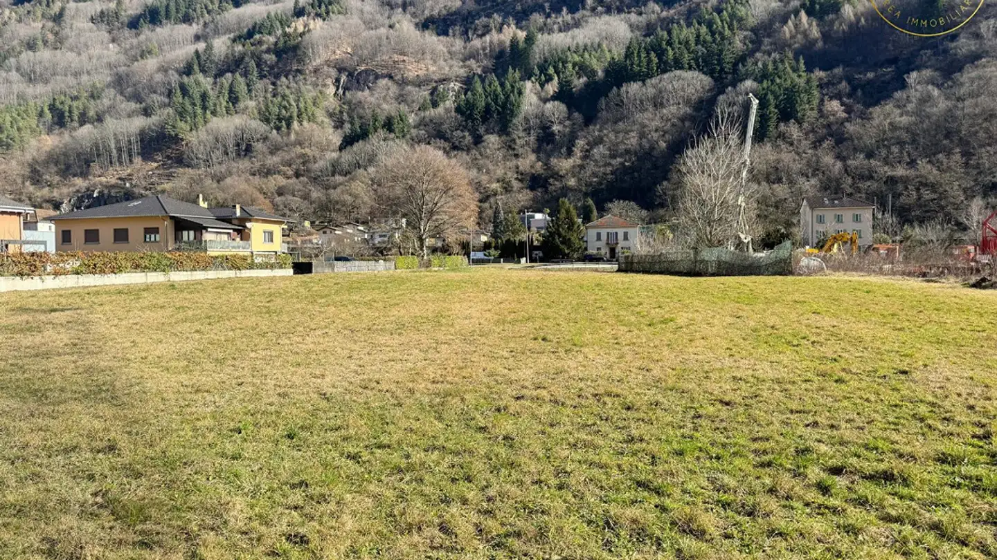 Terrain commercial à vendre - 6703 Osogna - Photo 2