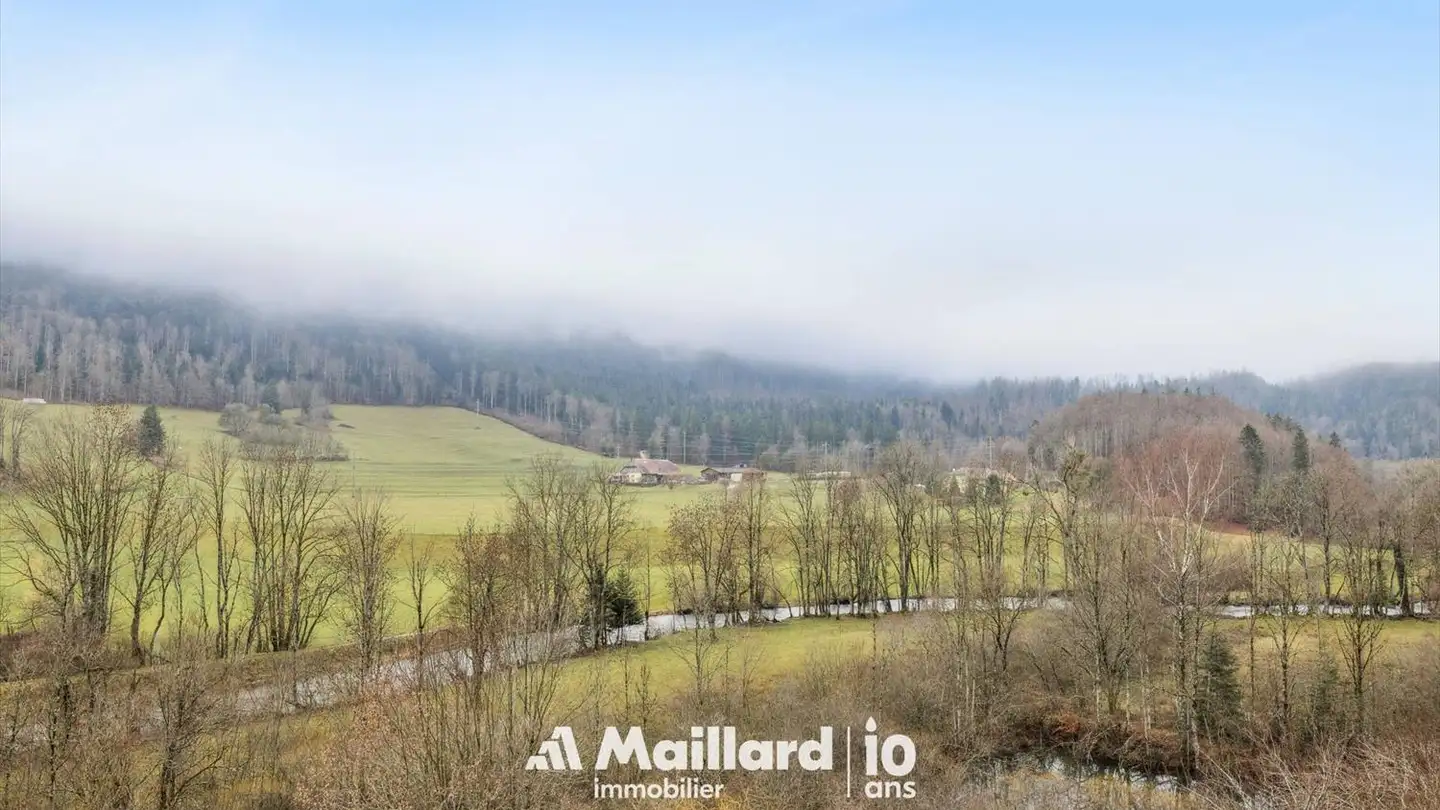 Maison individuelle à vendre - Rue Des Grottes 21, 1337 Vallorbe