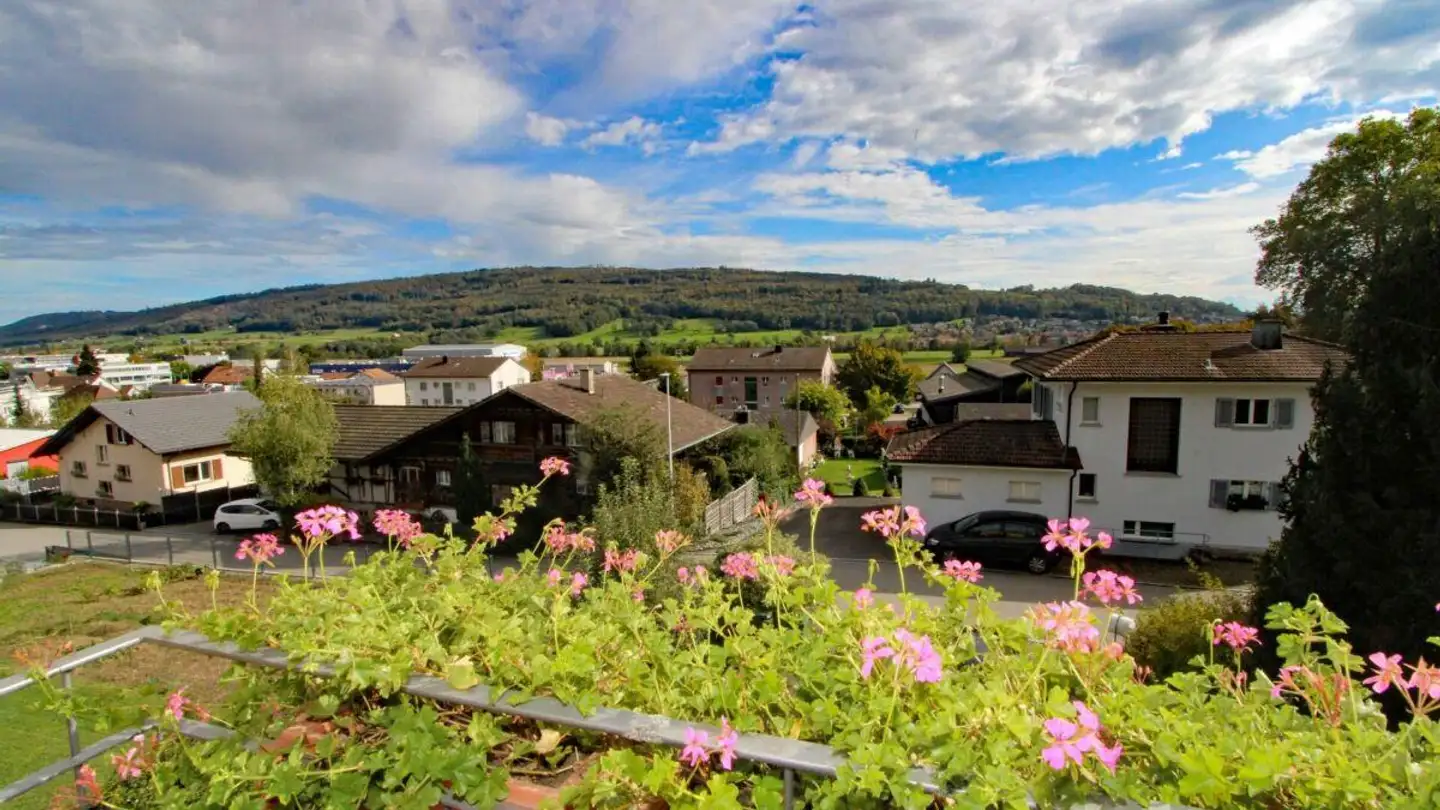 Maison individuelle à vendre - Bühlstrasse 5, 4614 Hägendorf - Photo 4