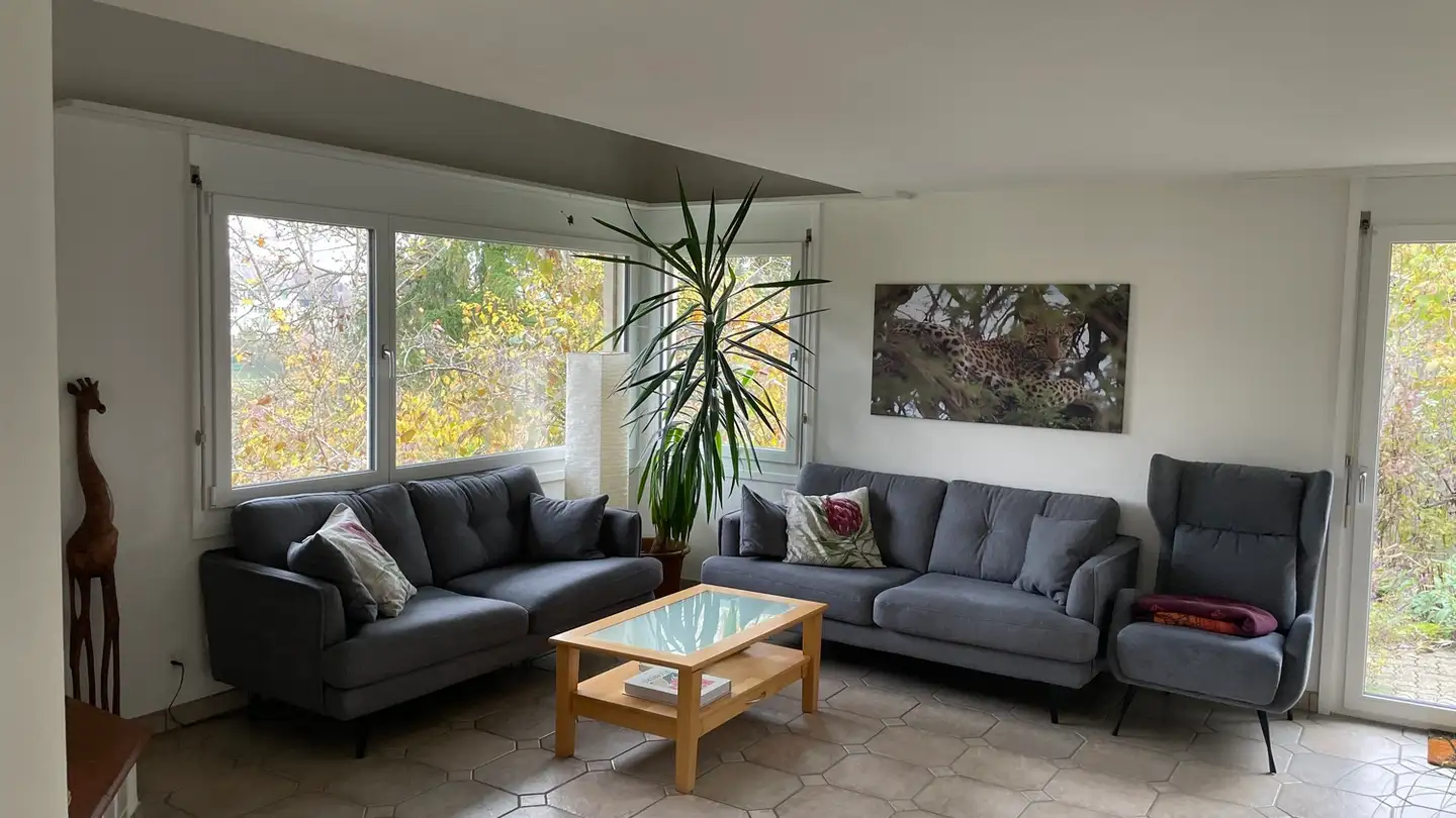 Maison individuelle à louer - 8253 Diessenhofen