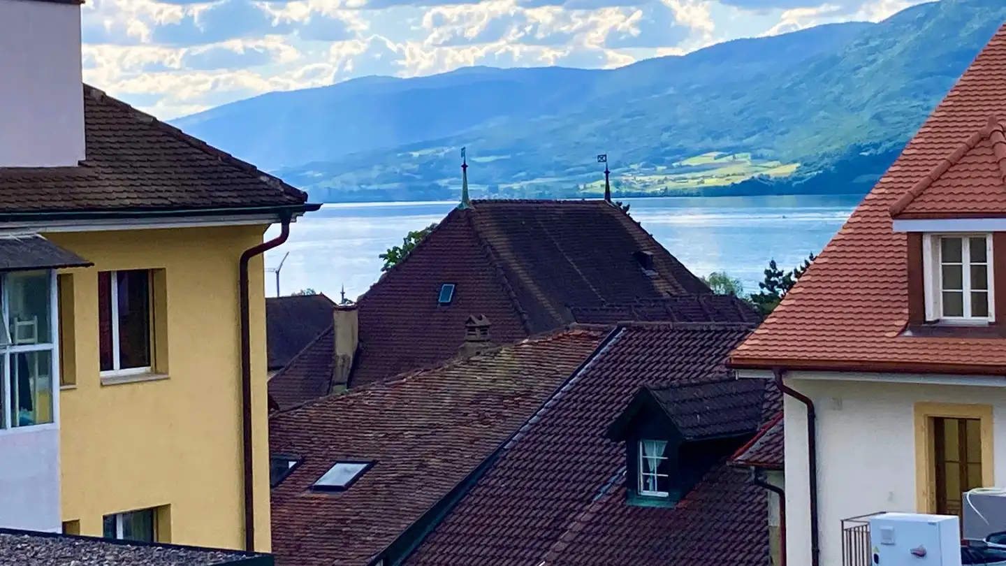 Appartement à vendre - 1470 Estavayer-le-Lac - Photo 4