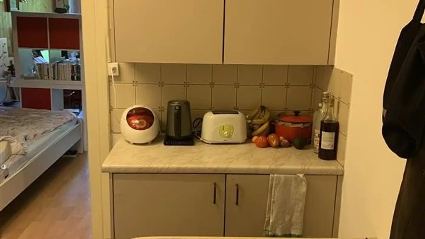 Appartamento in affitto - Rue Pierre-Aeby 33, 1700 Fribourg - Foto 4