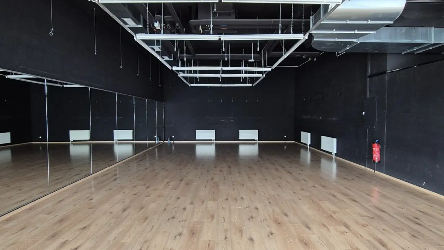 Gewerbe mieten - Erlenmattstrasse 19, 4058 Basel - Foto 2