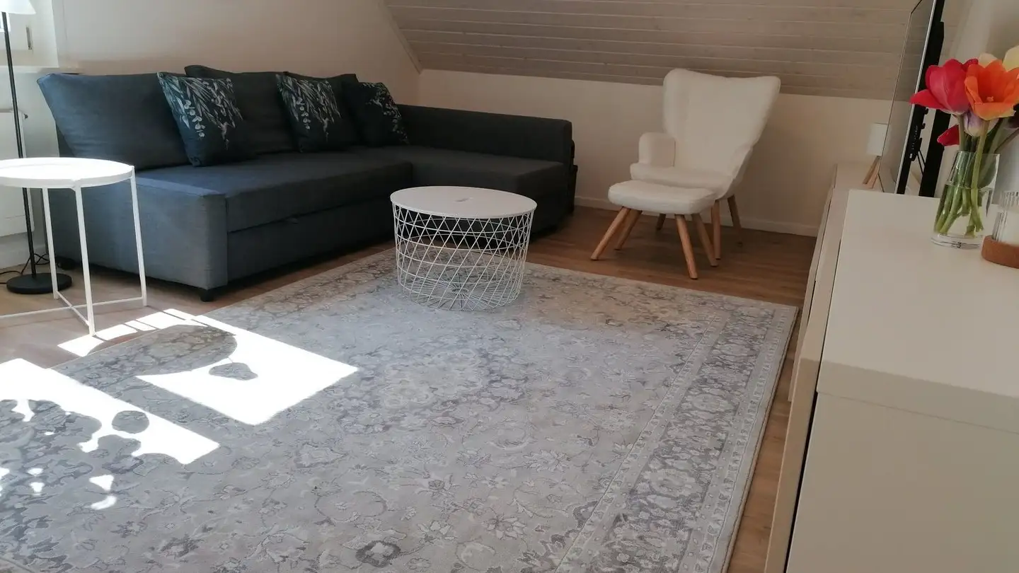 Attic flat for rent - Rottannenweg 184, 4204 Himmelried