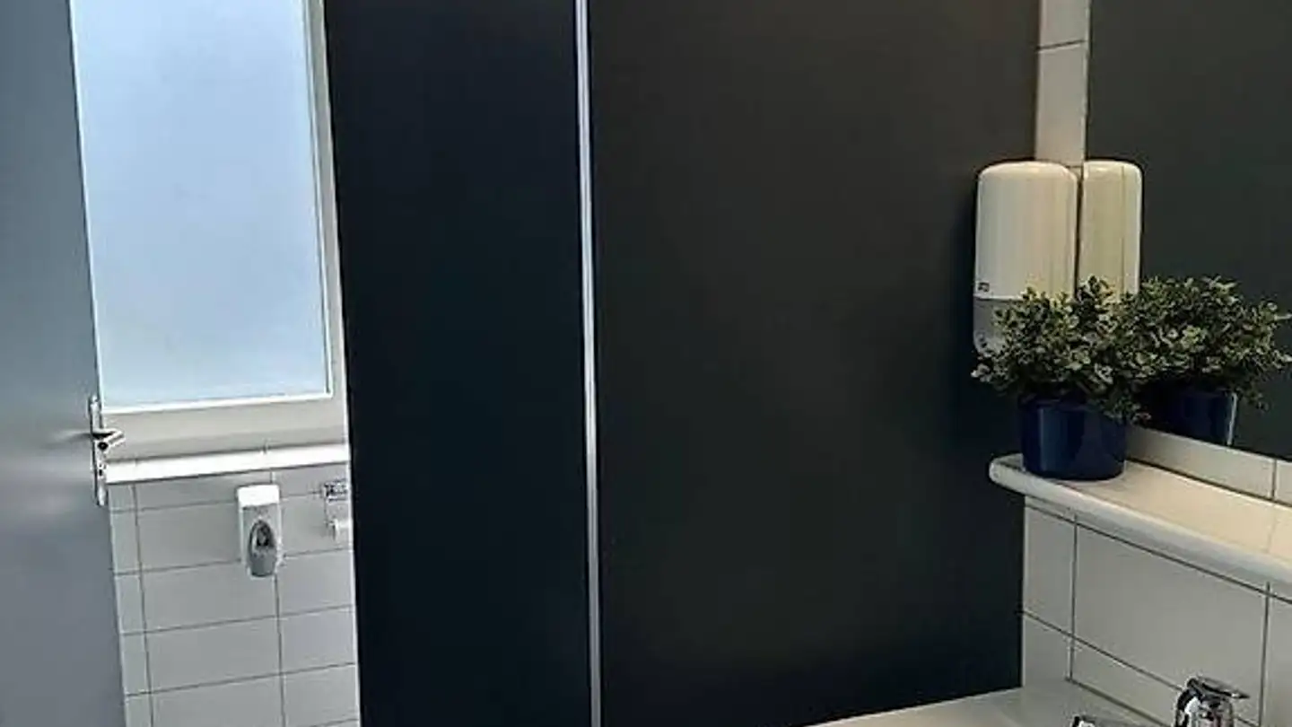 Commercial for rent - Bubenbergstrasse 2, 8045 Zürich - Photo 3