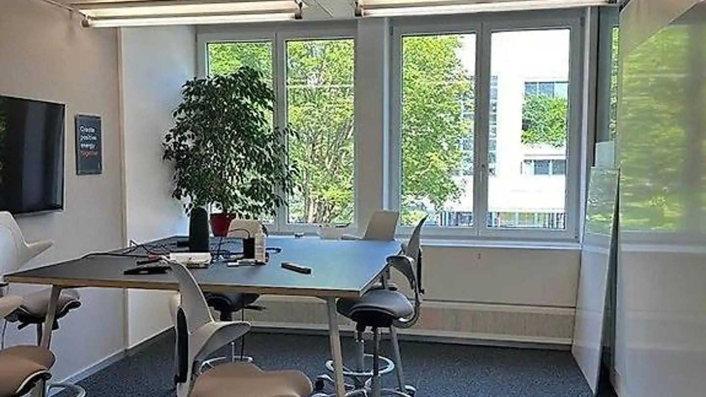 Commercial for rent - Bubenbergstrasse 2, 8045 Zürich - Photo 4