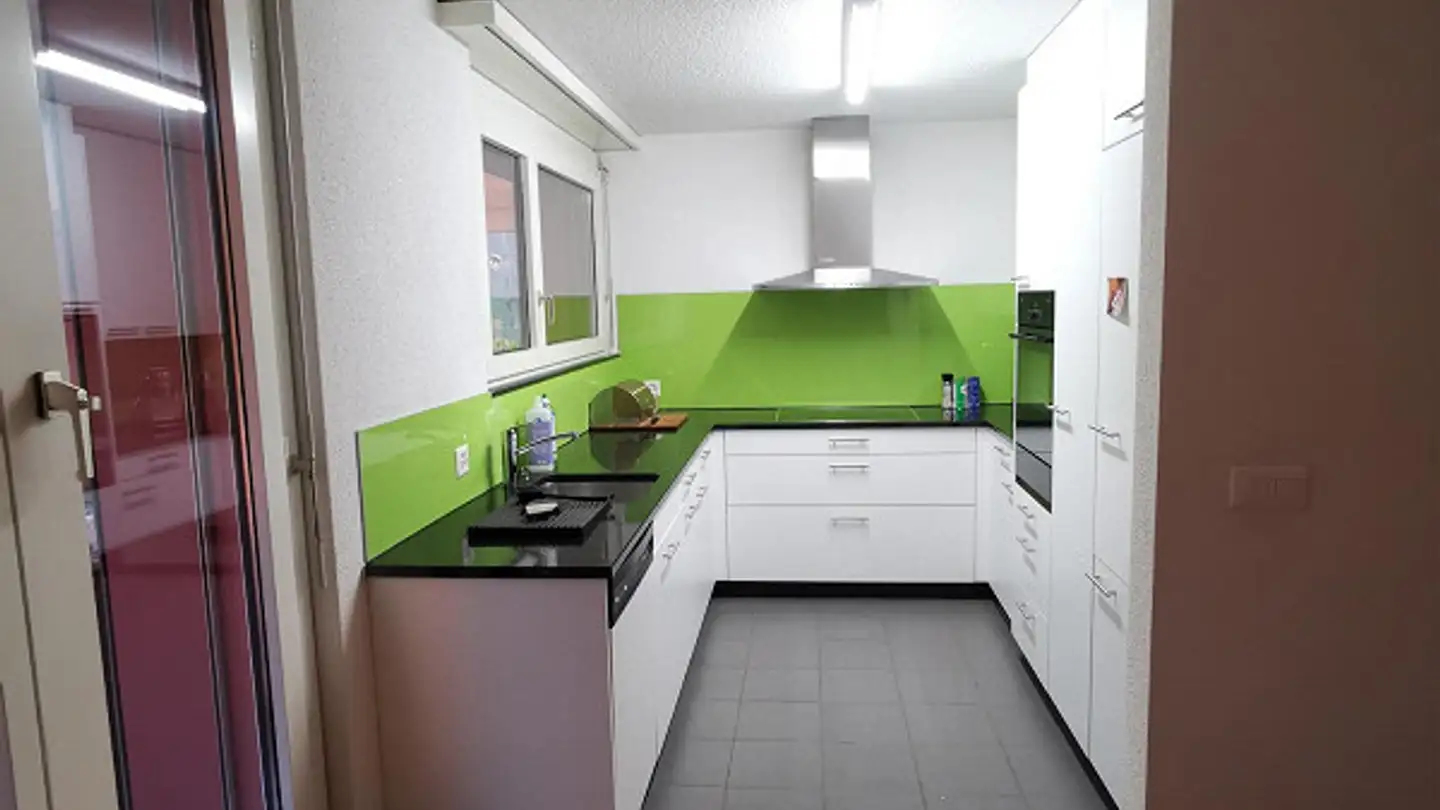 Appartement en terrasse à louer - 8952 Schlieren - Photo 3