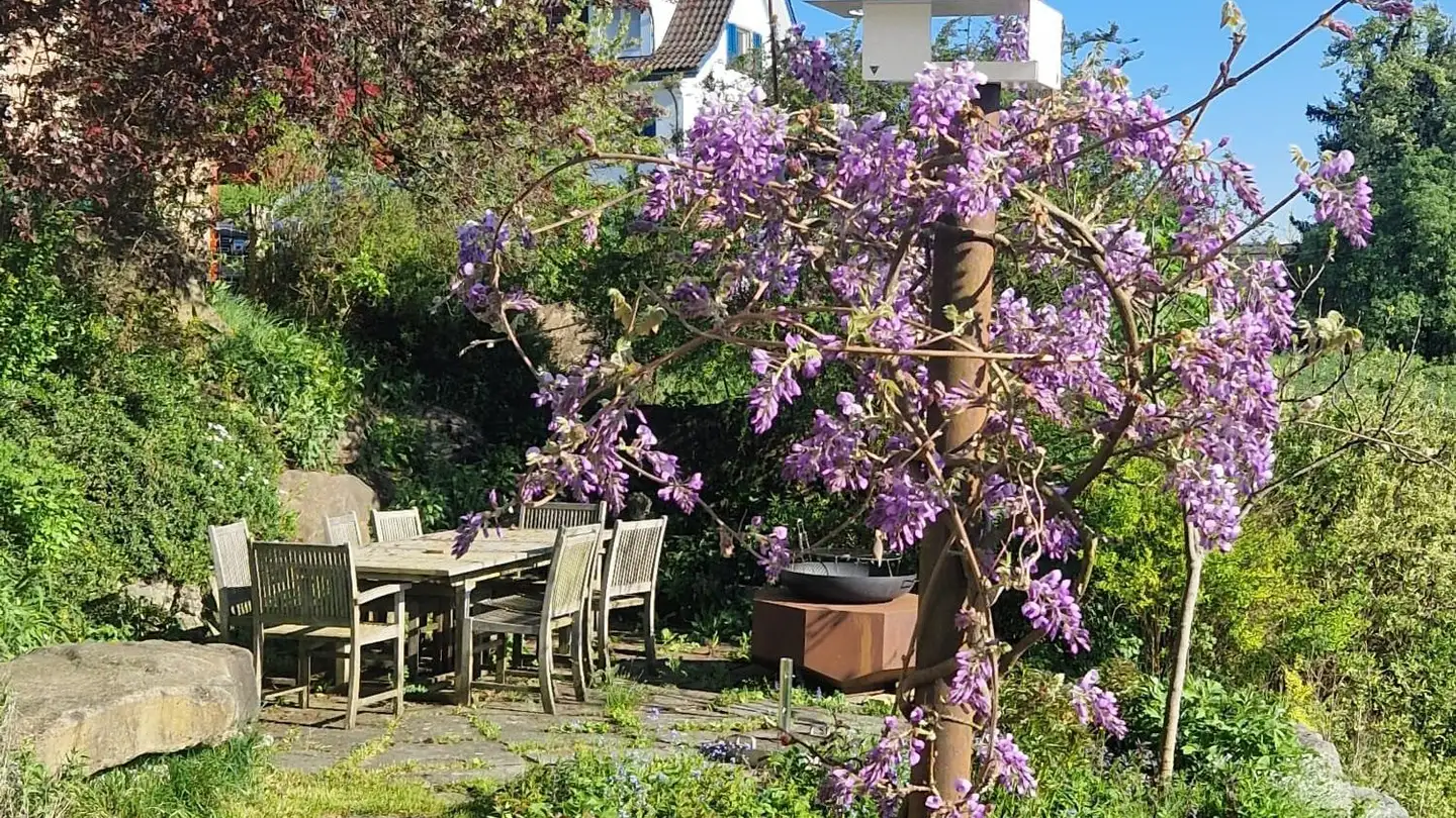 Villa for rent - Obere Kirchfeldstrasse 10, 8910 Affoltern am Albis - Photo 3