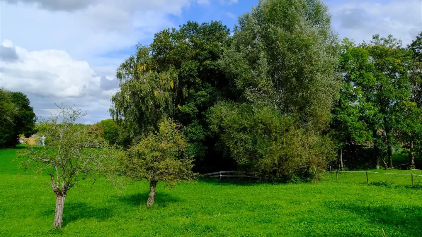 Appartamento in vendita - 1082 Corcelles-le-Jorat