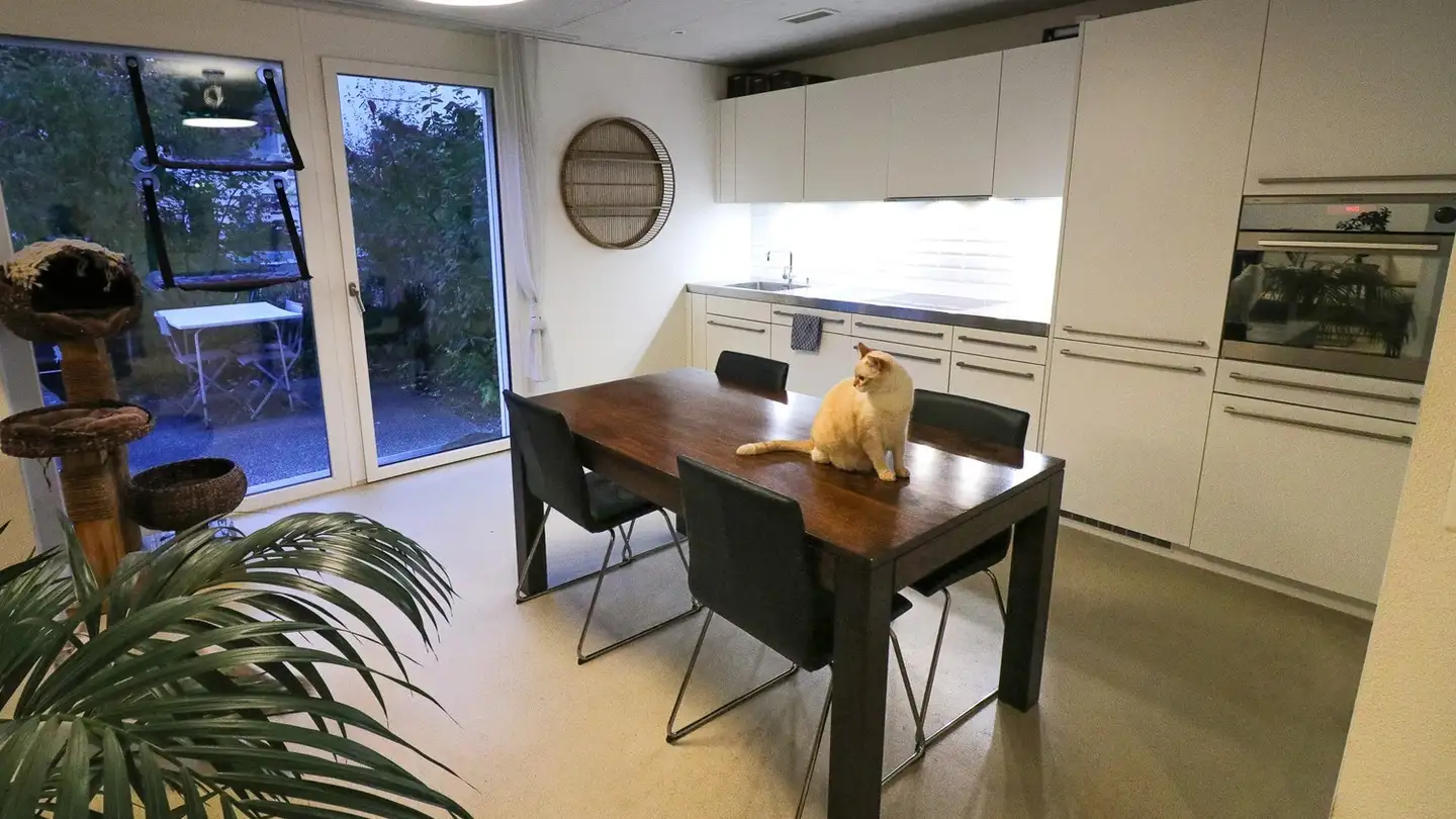 Wohnung mieten - 8600 Dübendorf - Foto 4