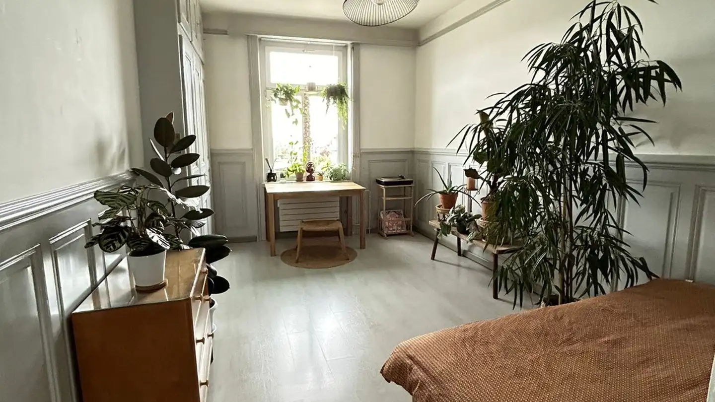 Chambre à louer - 4500 Solothurn