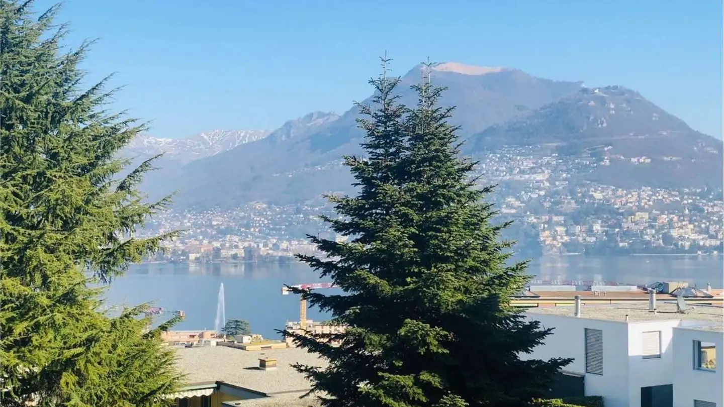 Appartamento ammobiliato in vendita - Via Antonietti 7, 6900 Paradiso - Foto 3