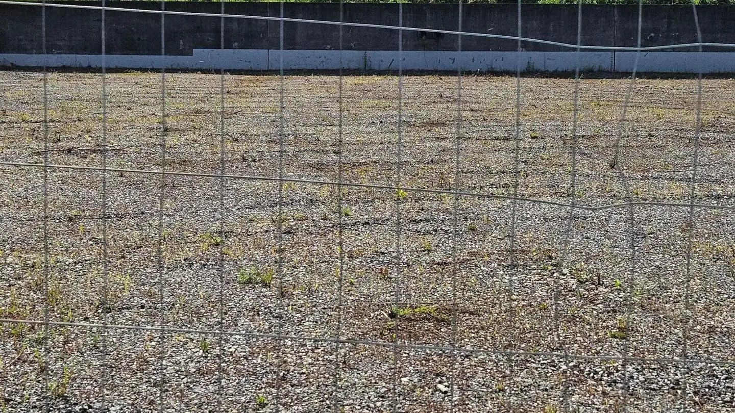 Proprietà industriale in affitto - Industriestrasse 17, 9470 Buchs SG - Photo 4