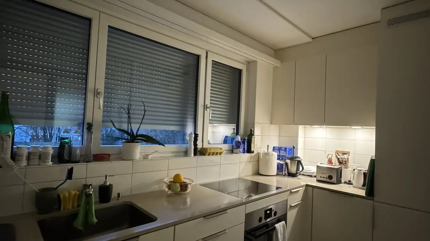 Appartamento ammobiliato in affitto - Forchstrasse 331, 8008 Zürich - Foto 4