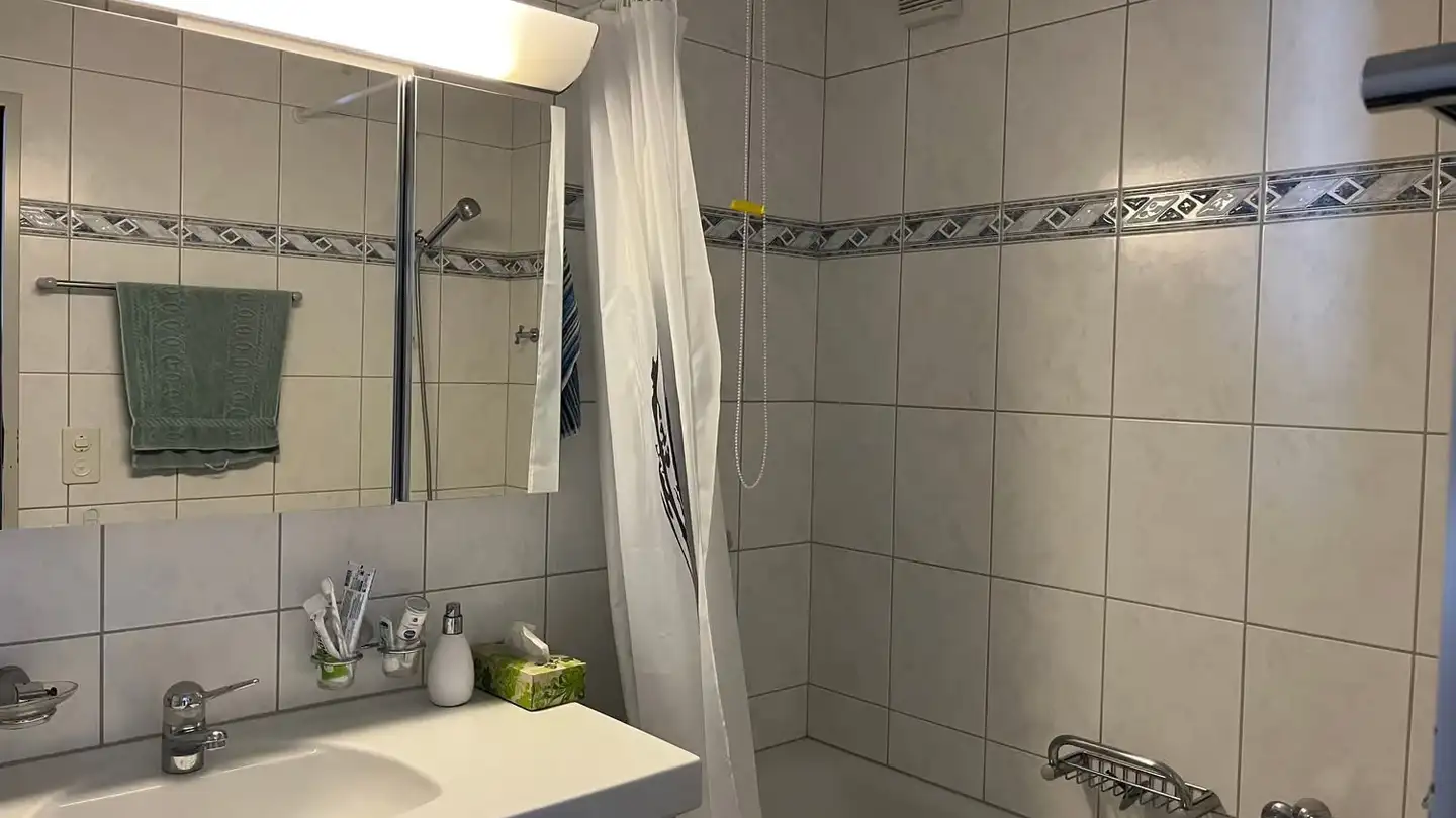 Attic flat for rent - Grundstrasse 21, 8154 Oberglatt ZH - Photo 3