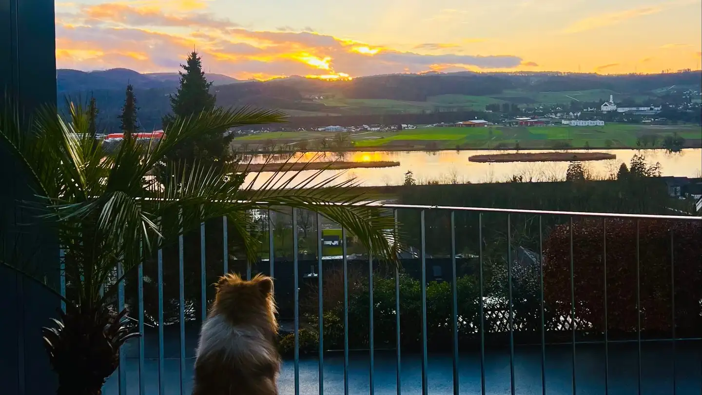 Single room for rent - 5313 Klingnau