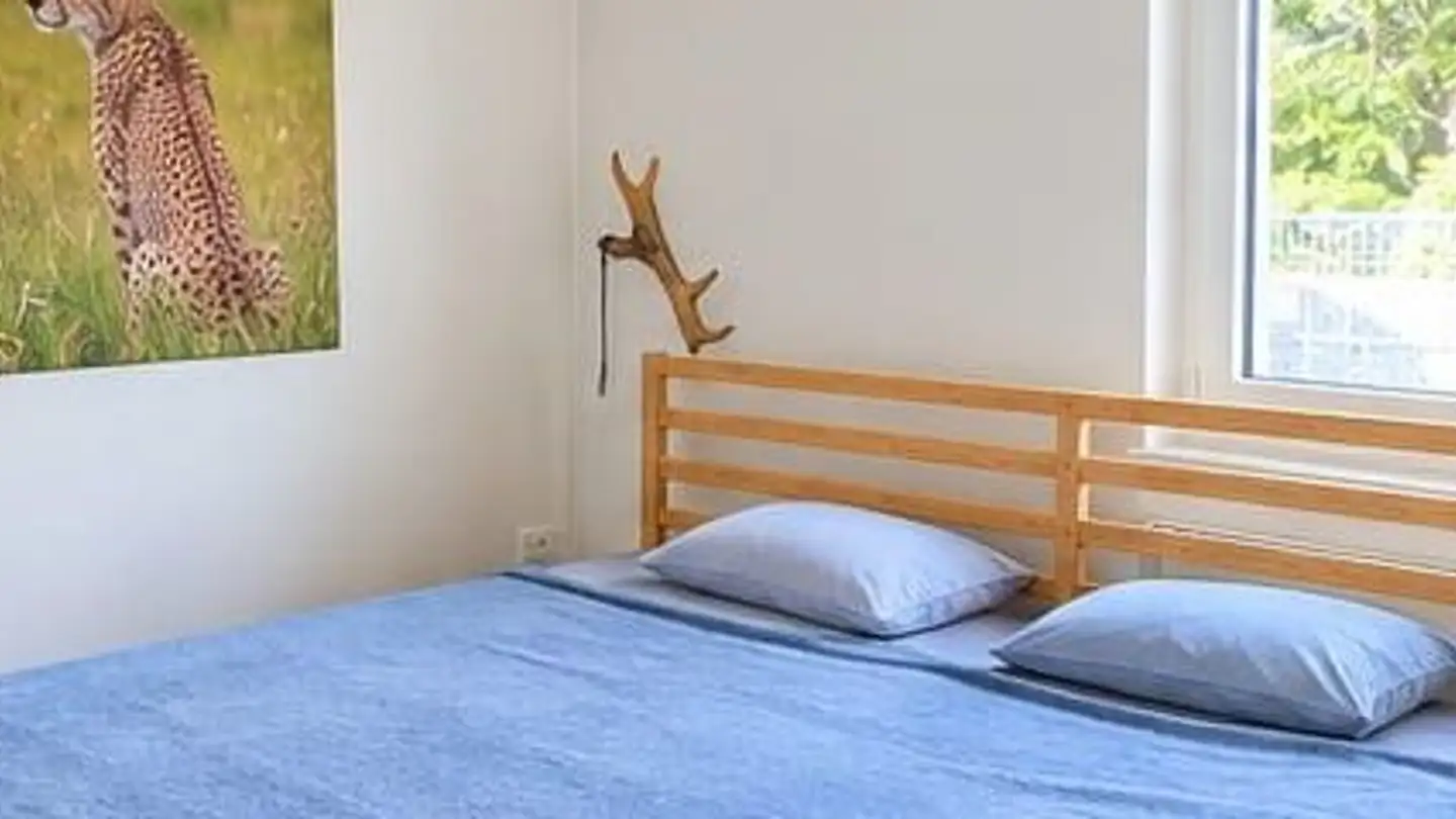 Single house for rent - Dammweg 19, 5610 Wohlen AG - Photo 2