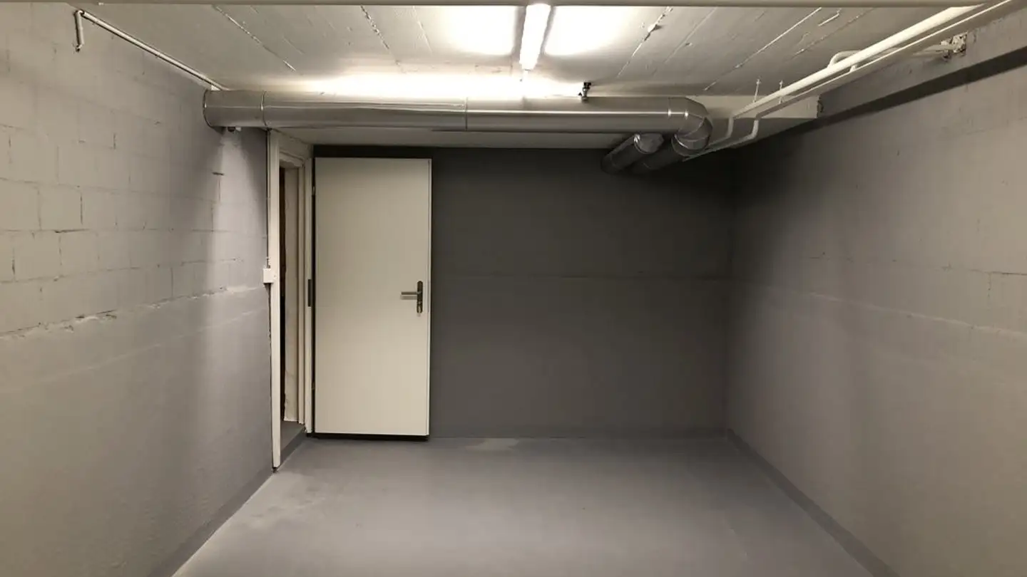 Espace de stockage à louer - Schlierenstrasse 43, 8902 Urdorf - Photo 3