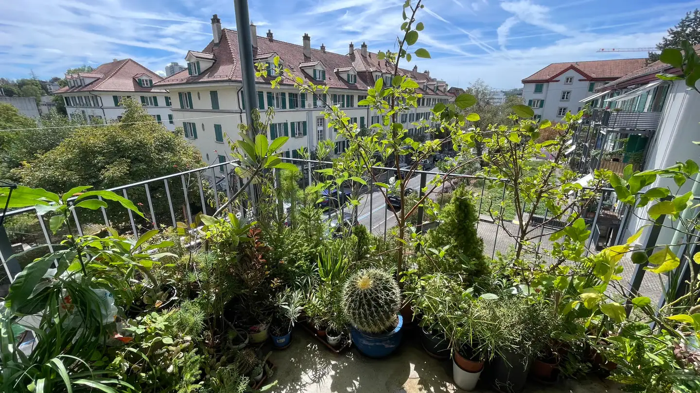 Appartamento in affitto - Aebistrasse, 3012 Bern - Foto 2