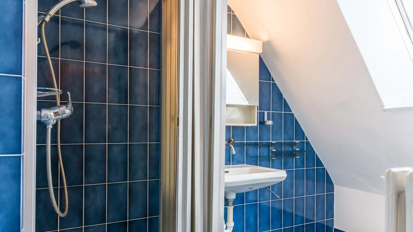 Apartment for rent - 8142 Uitikon Waldegg - Photo 4