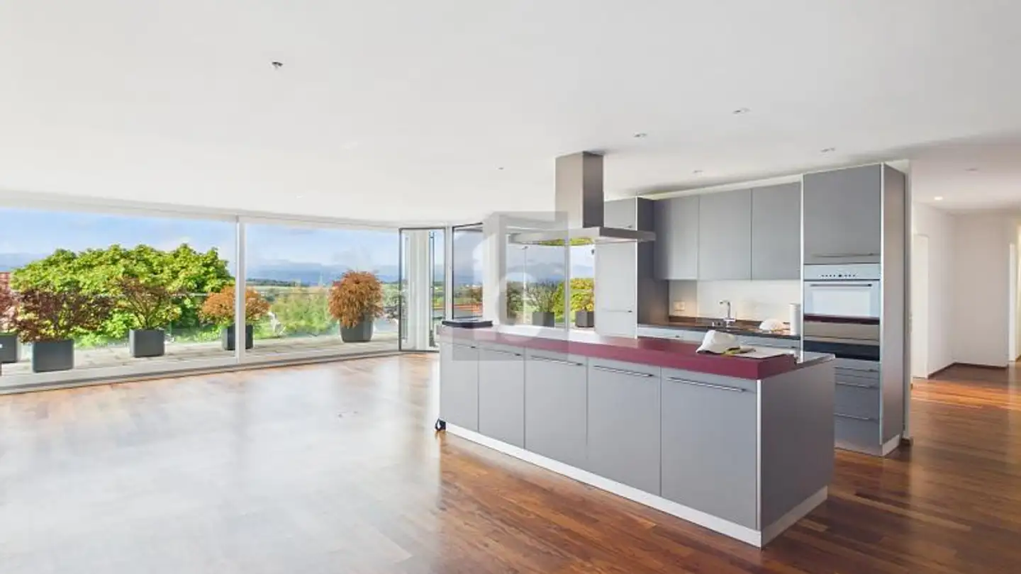 Stepped apartment for rent - 8908 Hedingen