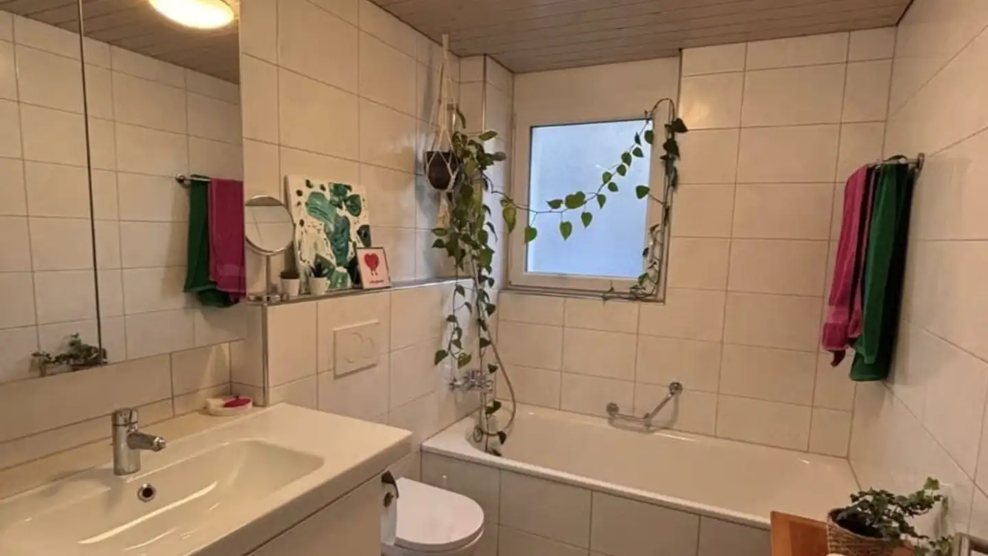 Wohnung mieten - Werner-Kälin-Strasse, 8840 Einsiedeln