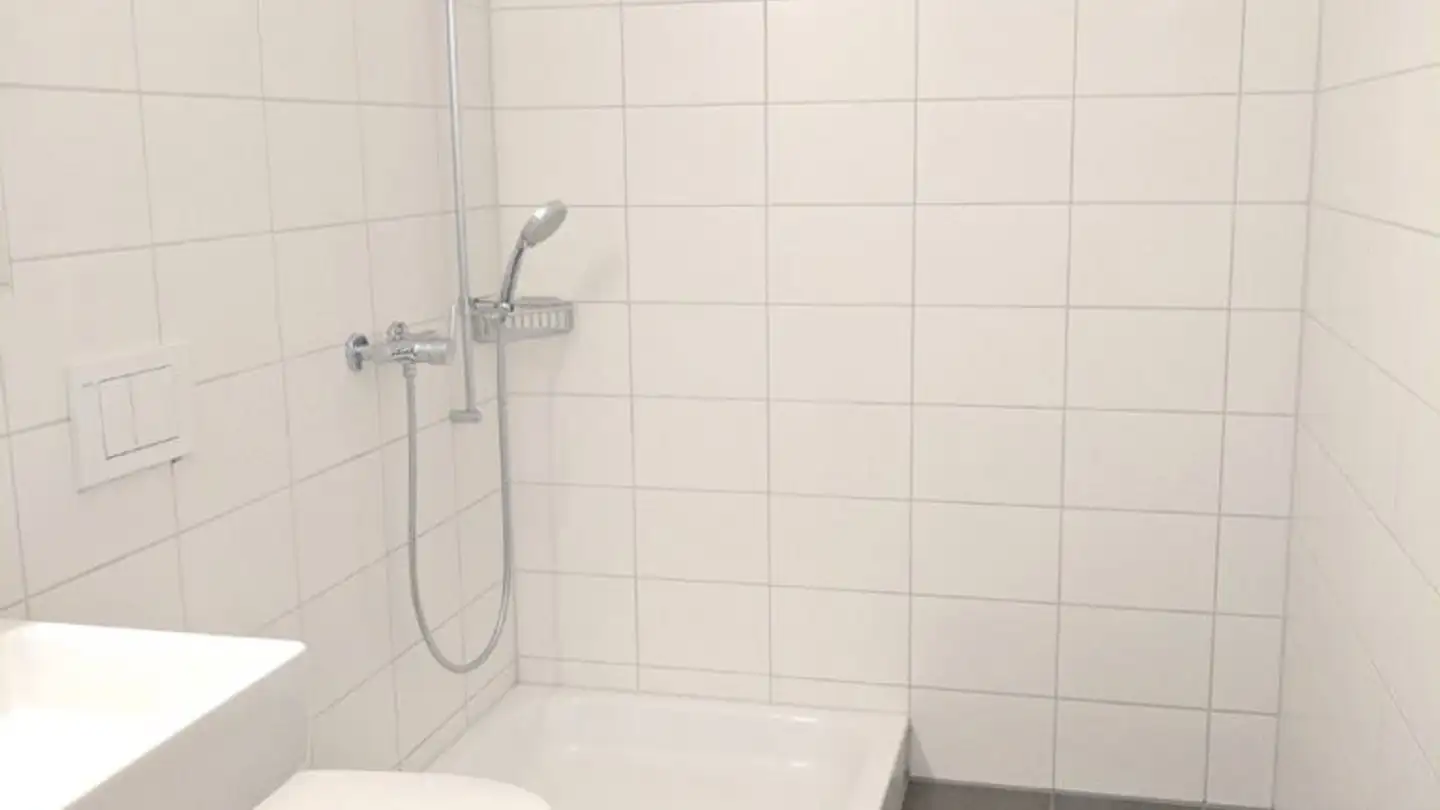 Appartement à louer - Else-Züblin-Strasse 97, 8404 Winterthur - Photo 3