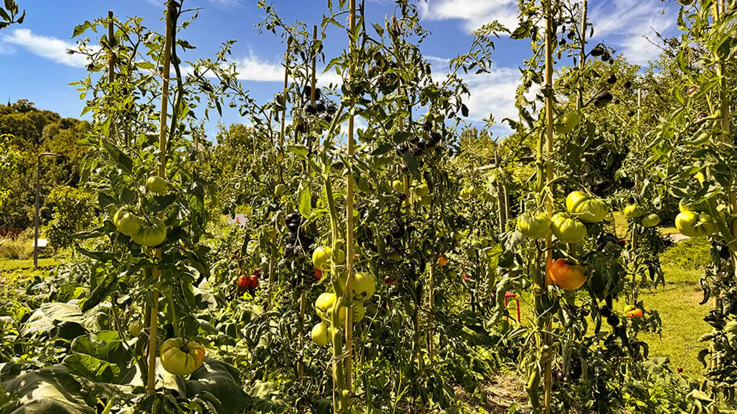 Single house for sale - 1422 Grandson - Photo 2