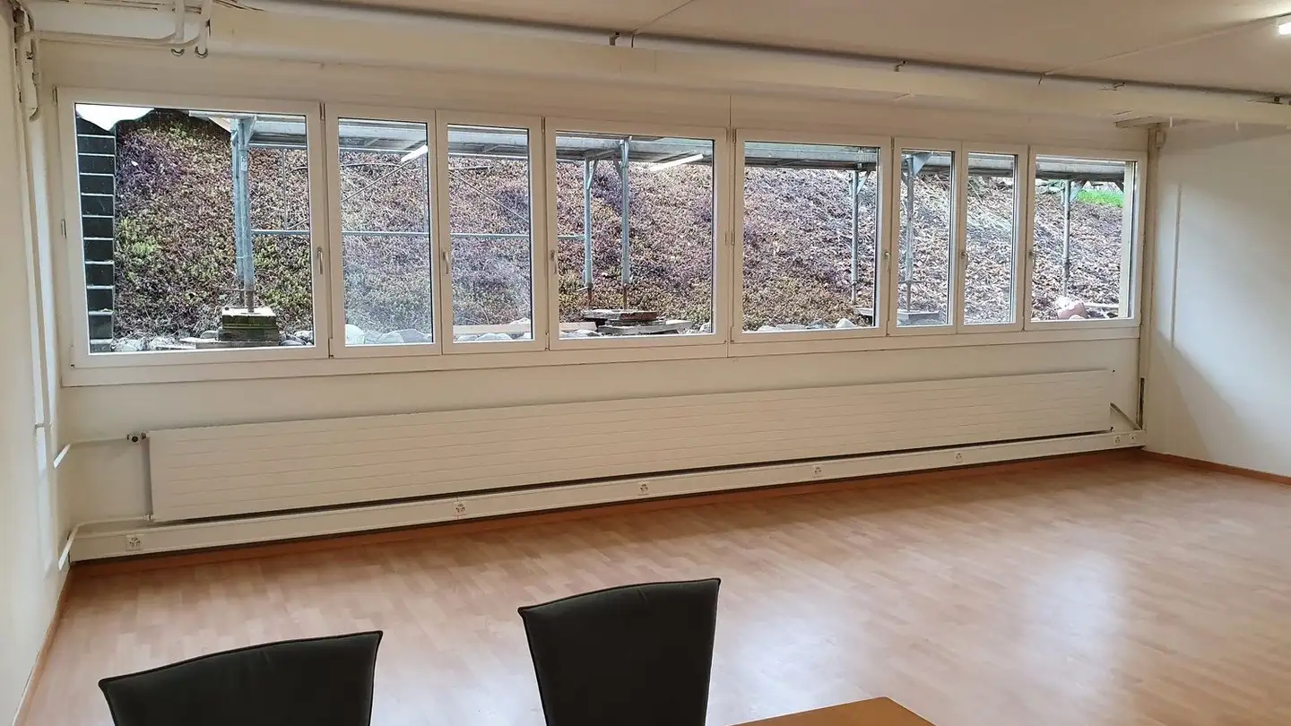Workshop for rent - Holenwegstrasse 20, 5734 Reinach AG