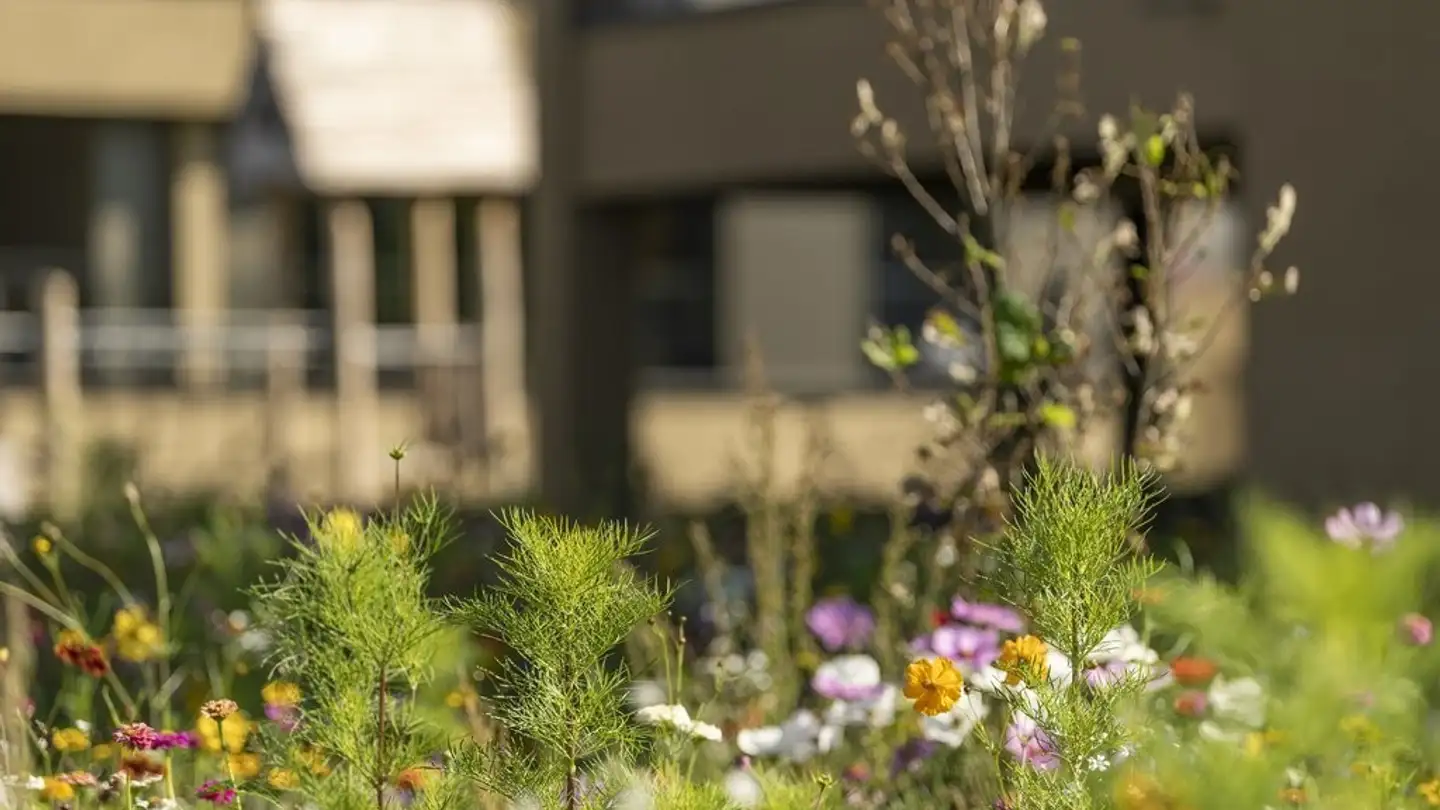 Appartamento in affitto - Haselstrasse 5, 8280 Kreuzlingen - Photo 2