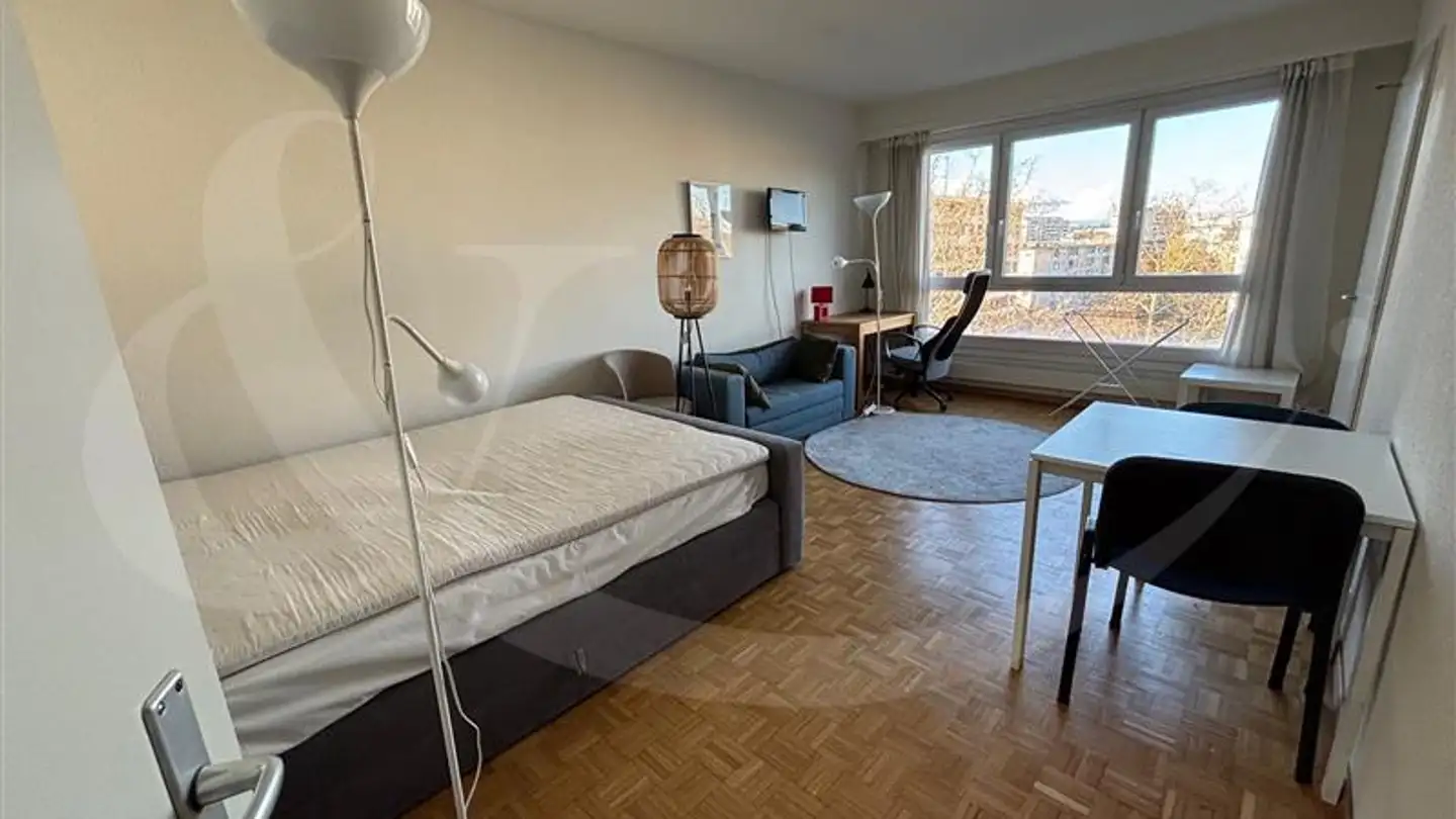 Möblierte Wohnung mieten - Rue De Lyon 85, 1203 Genève