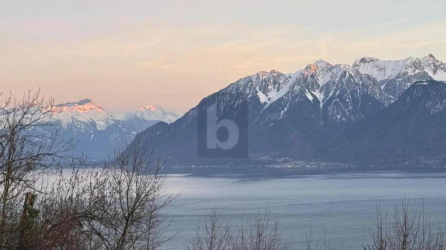 Appartamento in affitto - 1091 Grandvaux - Foto 2