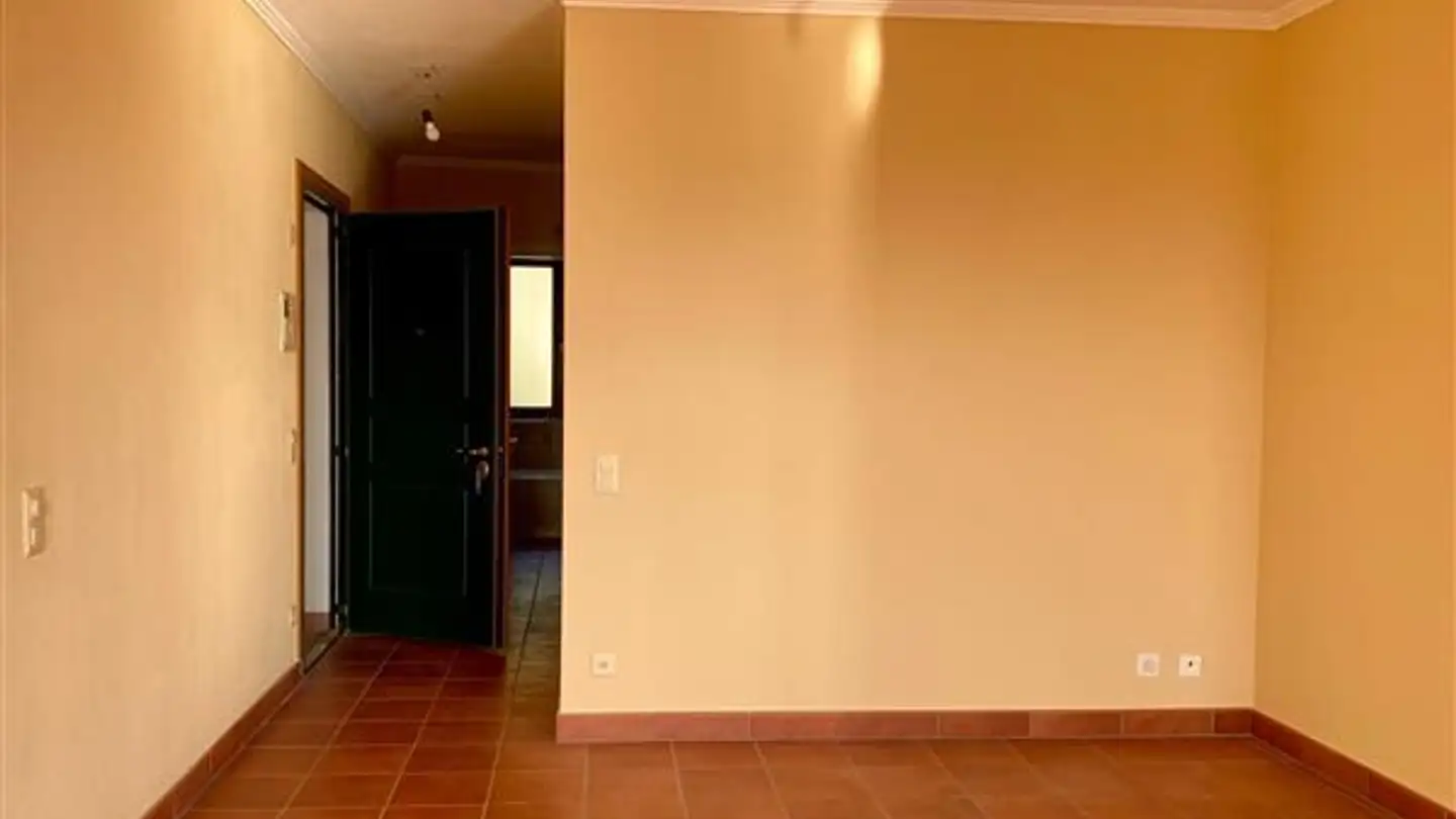 Appartamento in vendita - 6977 Ruvigliana - Photo 3