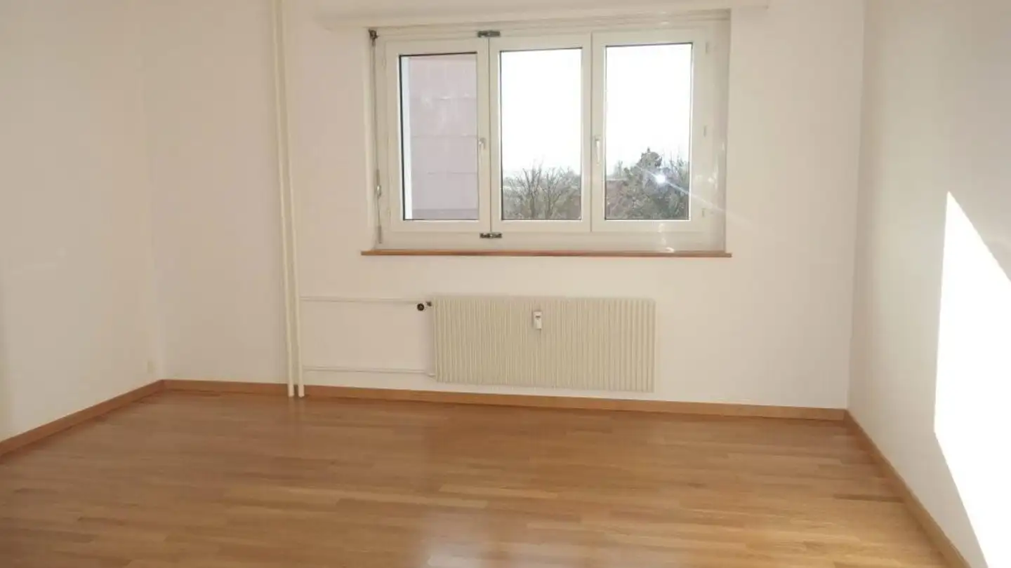 Appartamento in affitto - Amriswilerstrasse 64, 8570 Weinfelden - Foto 4