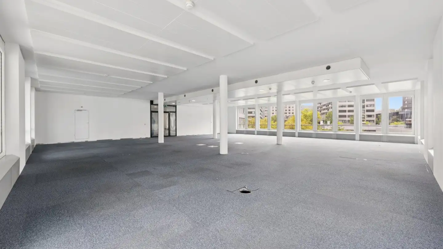 Bürofläche mieten - Bern-Strasse 55, 8952 Schlieren - Foto 3