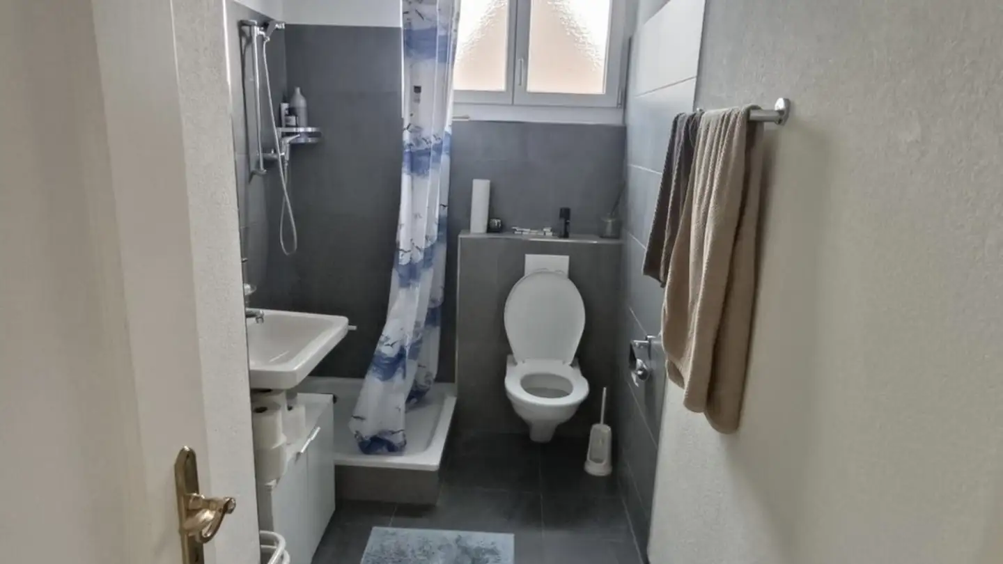 Single room for rent - Ackersteinstrasse 66, 8049 Zürich