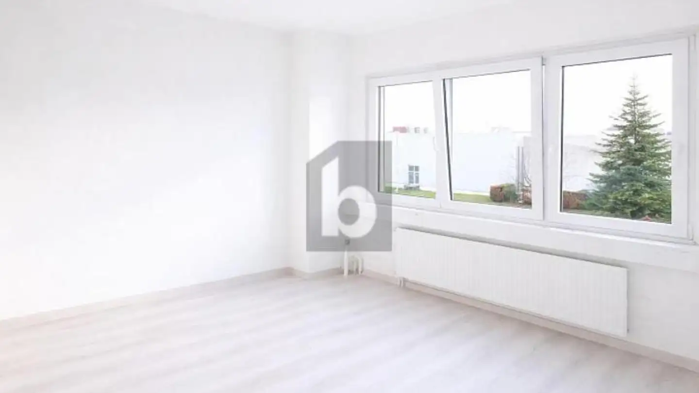 Mixed-use building for sale - 1196 Gland - Photo 2