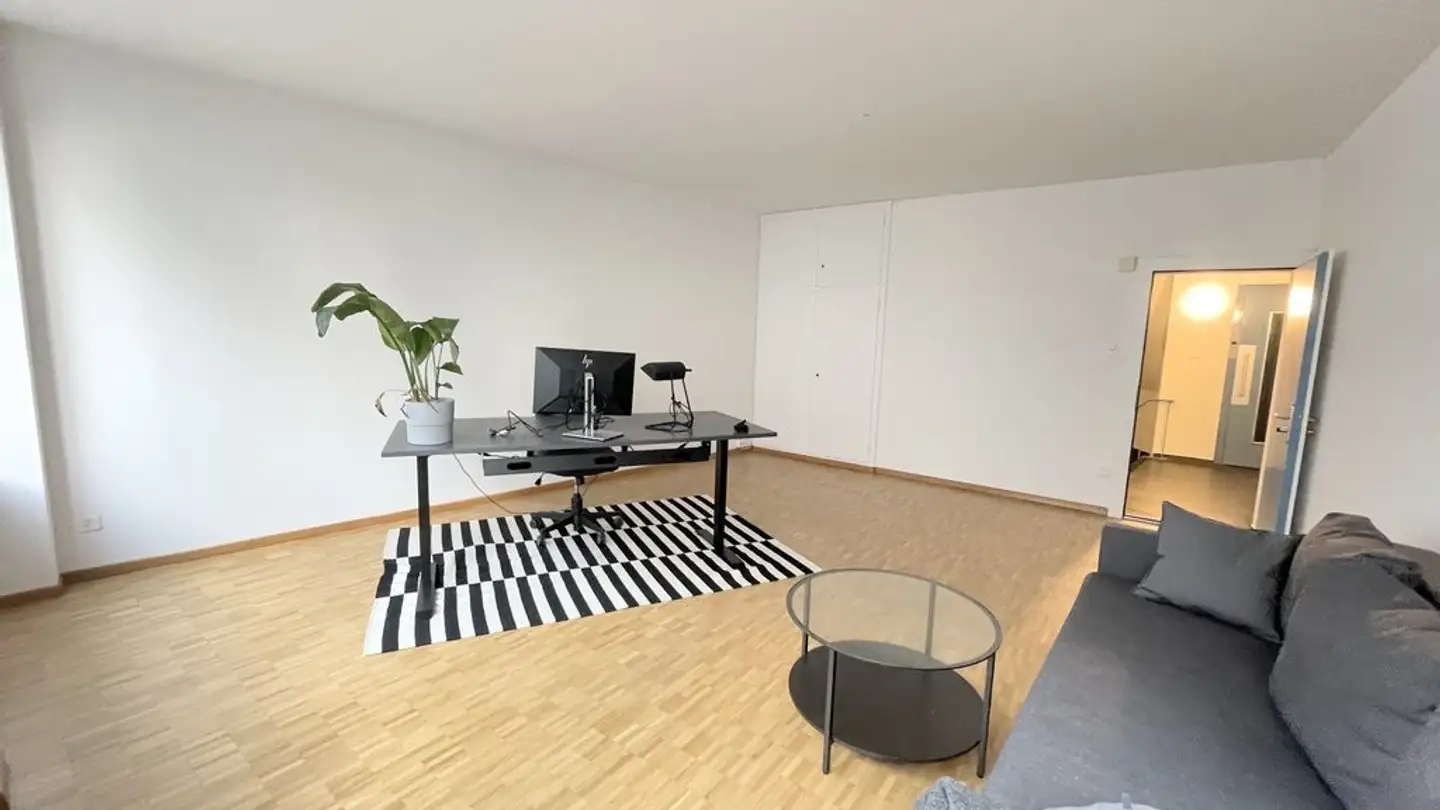 Spazio di archiviazione in affitto - Rue Peillonnex 36, 1225 Chêne-Bourg - Foto 3