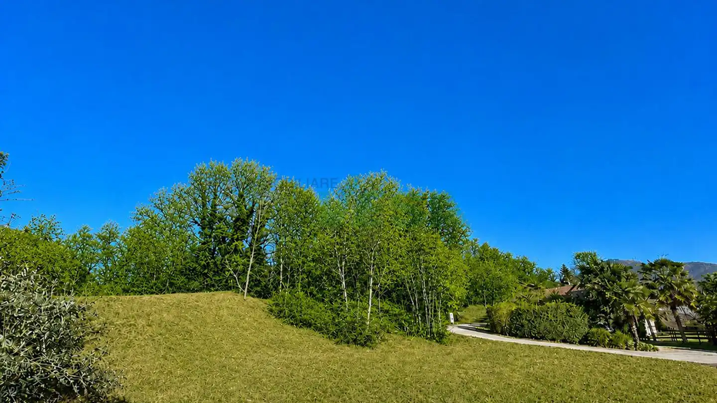 Constructible plot for sale - 6935 Bosco Luganese