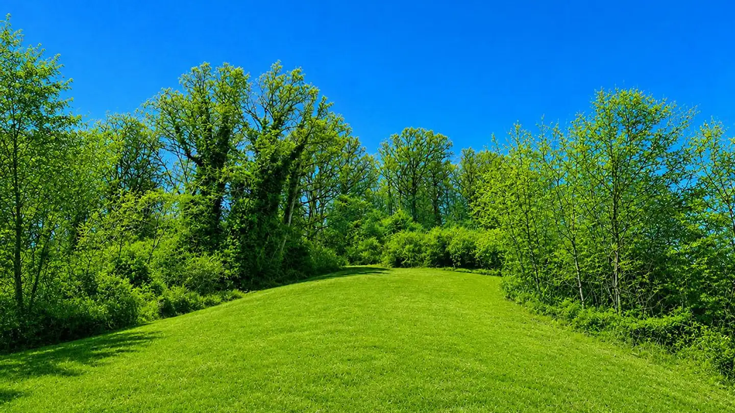 Terrain constructible à vendre - 6935 Bosco Luganese - Photo 4