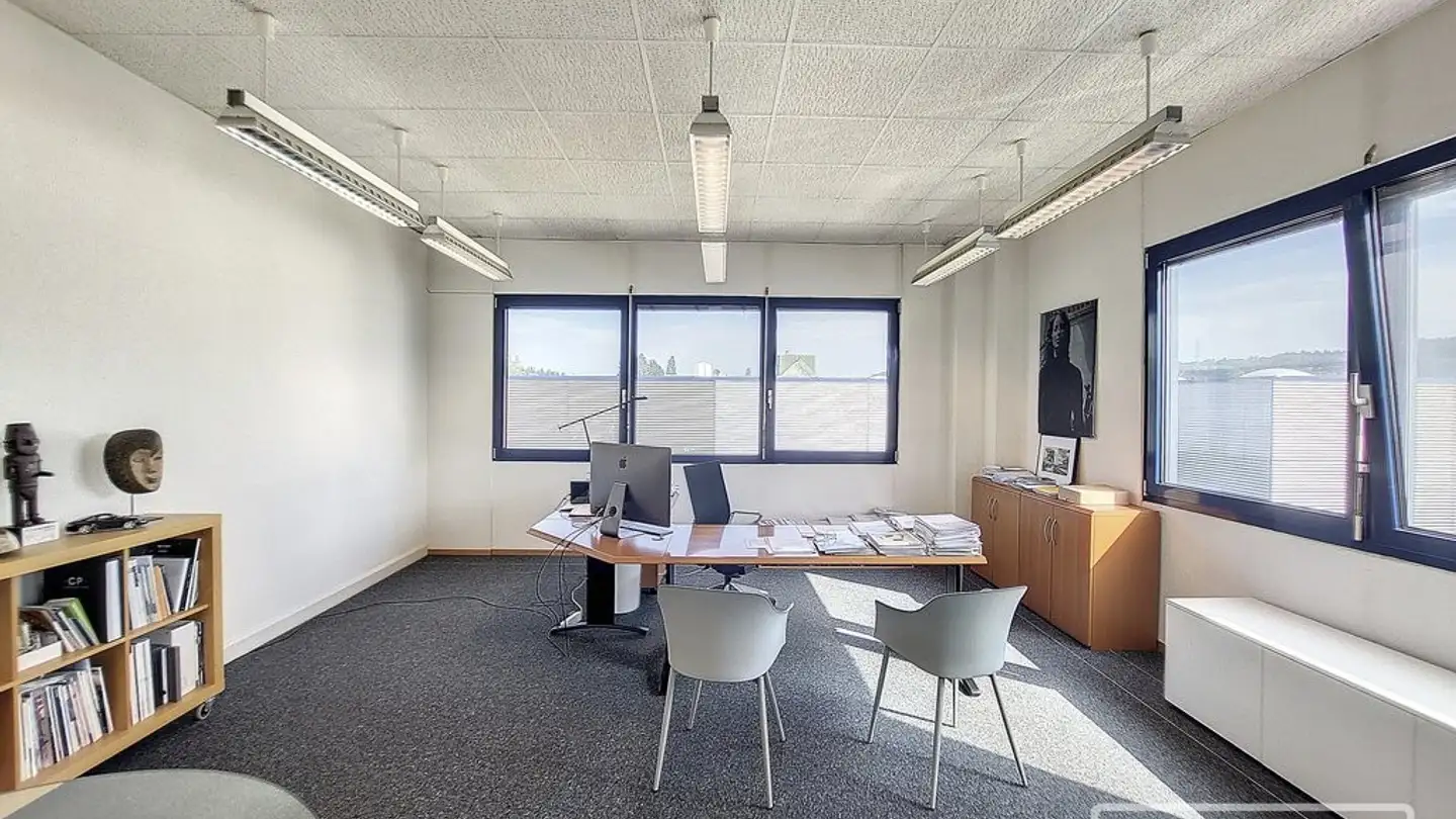 Commerciale in affitto - Chemin Des Fayards 2, 1032 Romanel-sur-Lausanne - Photo 2