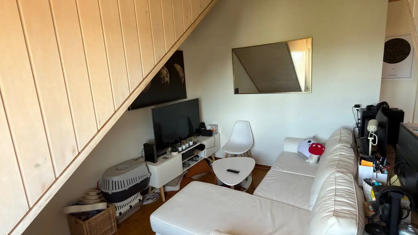 Appartamento in affitto - Chemin Du Bocage 9c, 1026 Echandens - Foto 4
