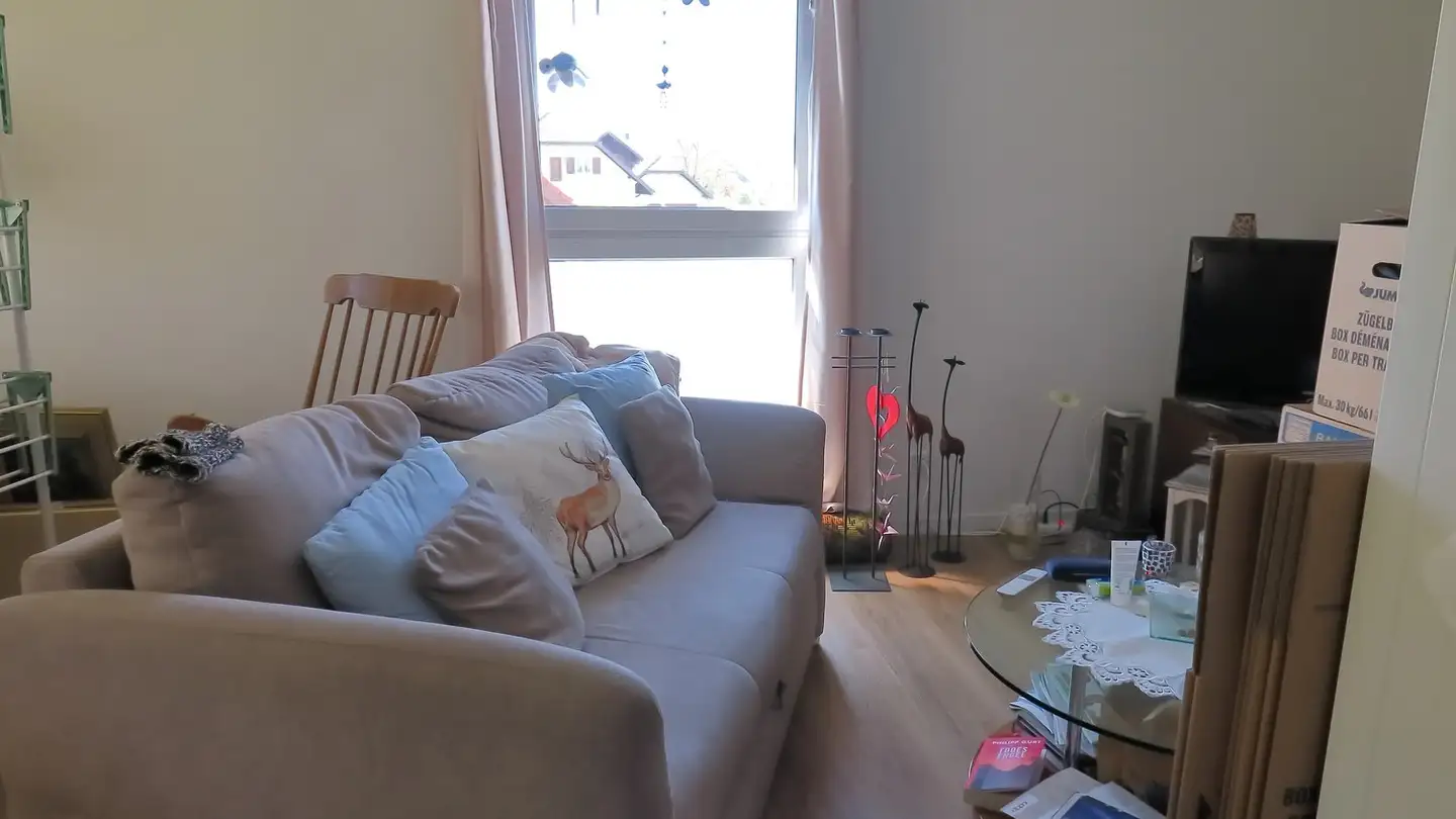 Apartment for rent - 5103 Möriken AG - Photo 4