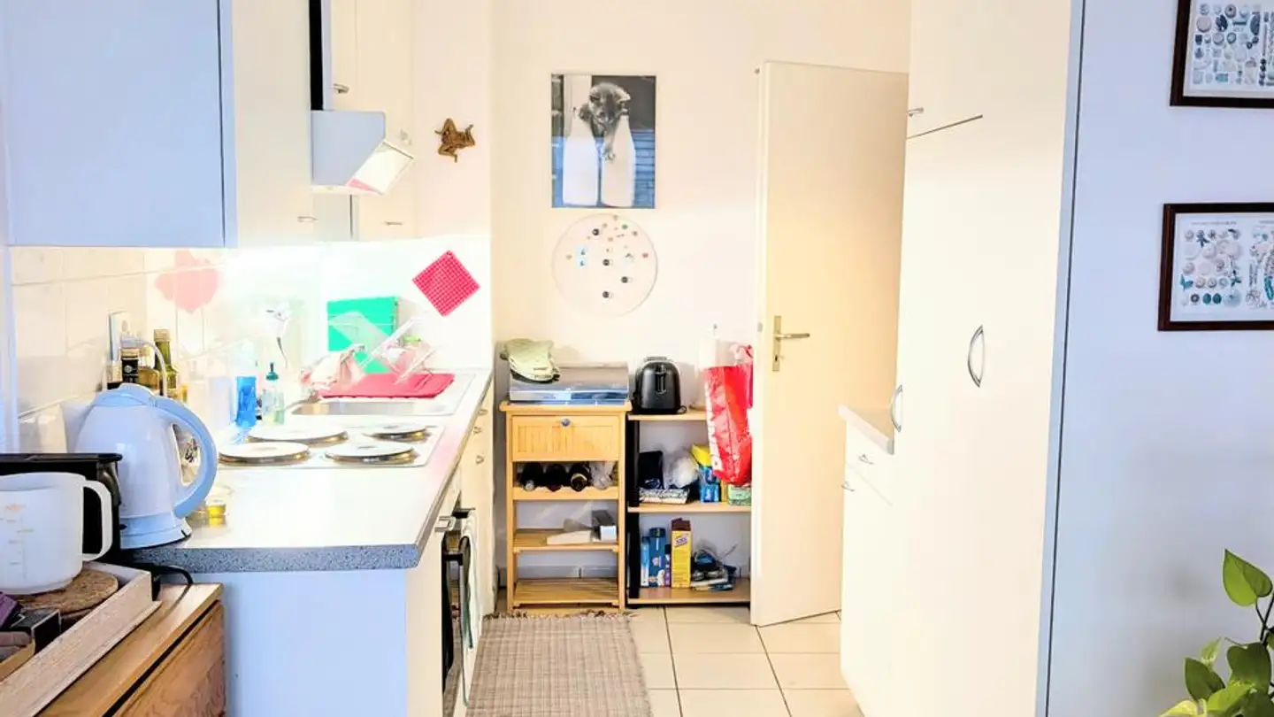 Wohnung mieten - Rue Des Asters 9, 1202 Genève - Foto 4