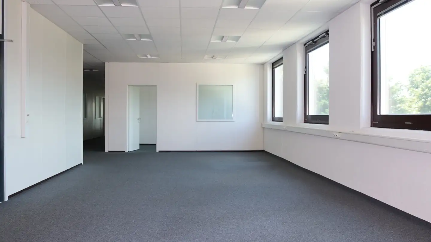 Spazio ufficio in affitto - Rue Du Pré-De-La-Fontaine 19, 1242 Satigny - Foto 2