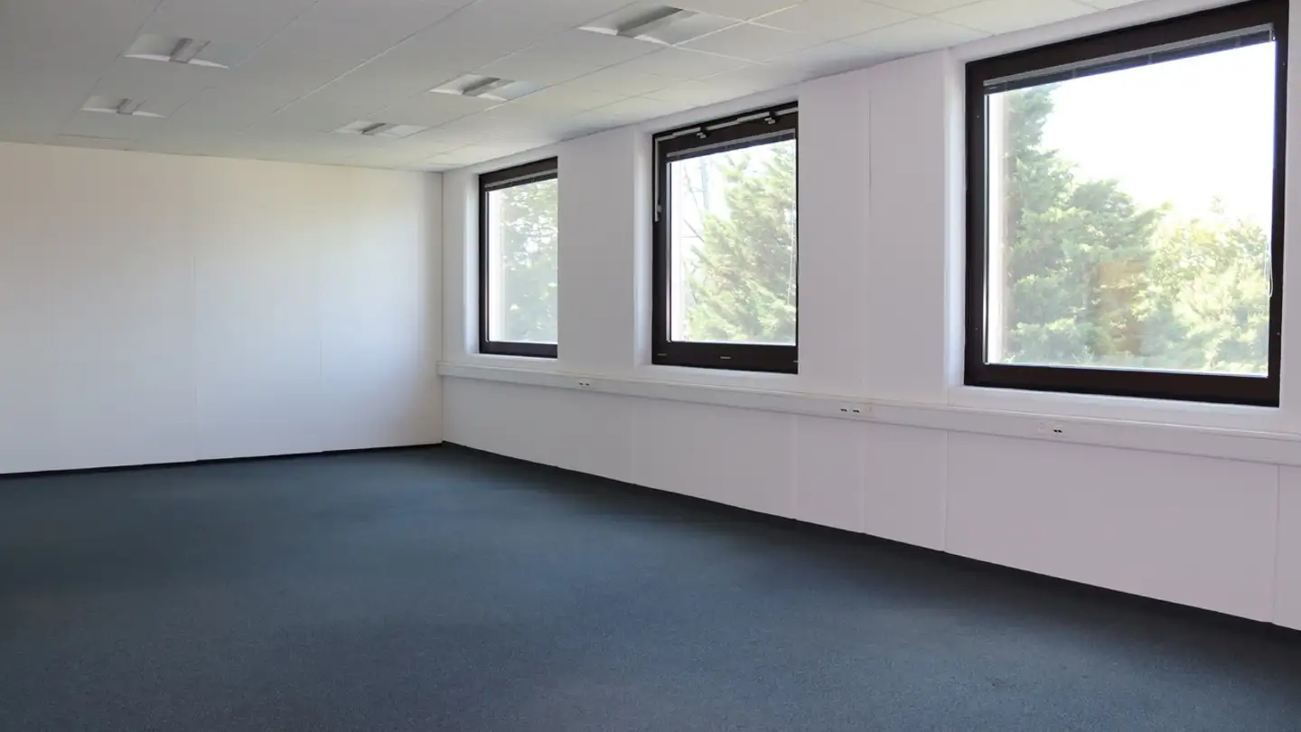 Spazio ufficio in affitto - Rue Du Pré-De-La-Fontaine 19, 1242 Satigny - Foto 3