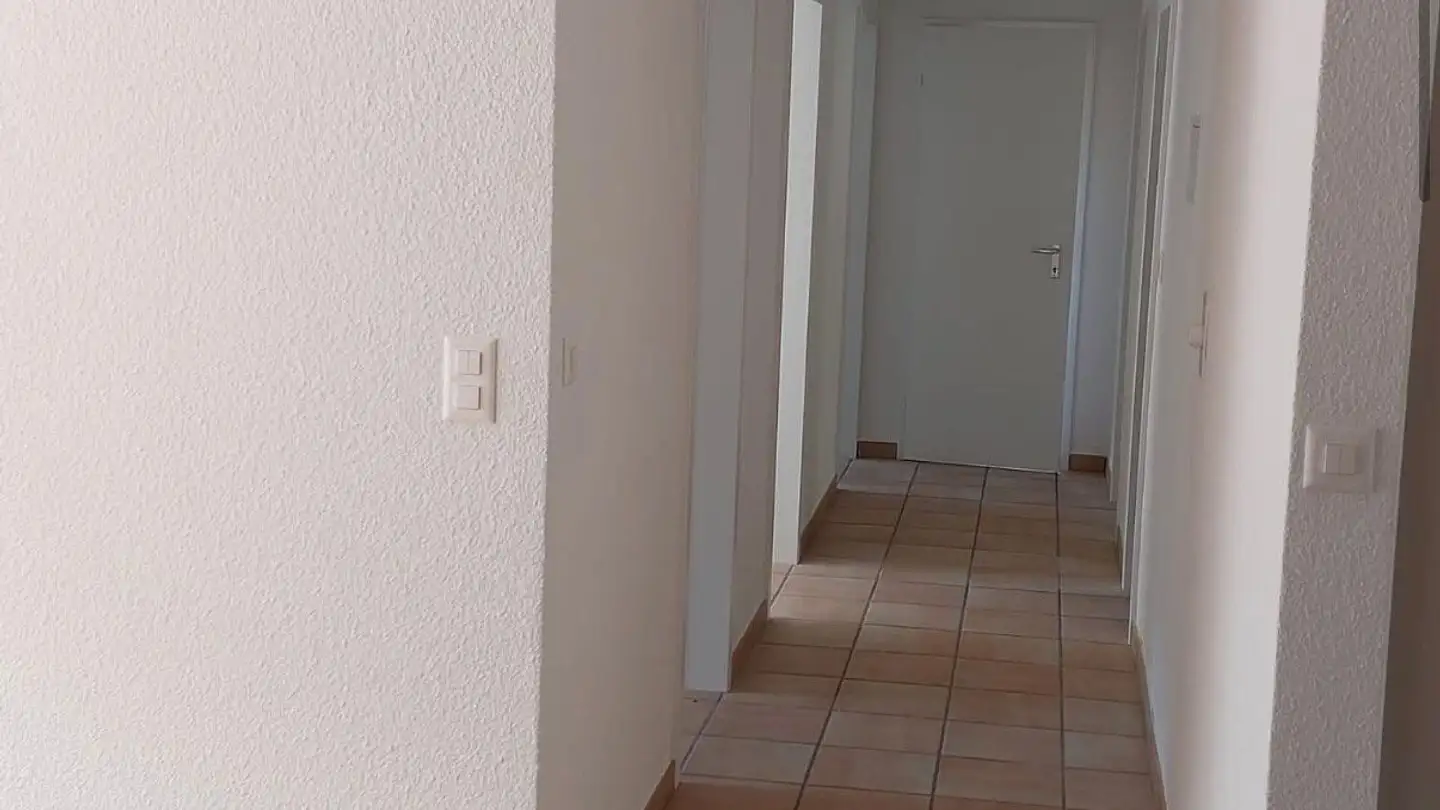 Wohnung mieten - Rebbergstrasse 59, 4632 Trimbach - Foto 3